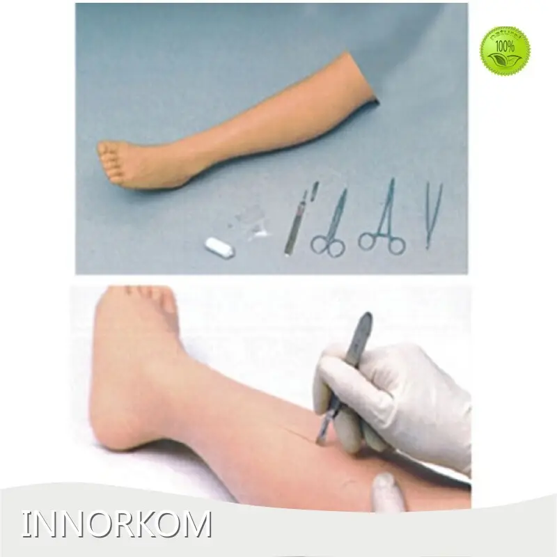 High Quality Medical Anatomy Models for Medical Grade 1