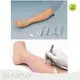 High Quality Medical Anatomy Models for Medical Grade 1