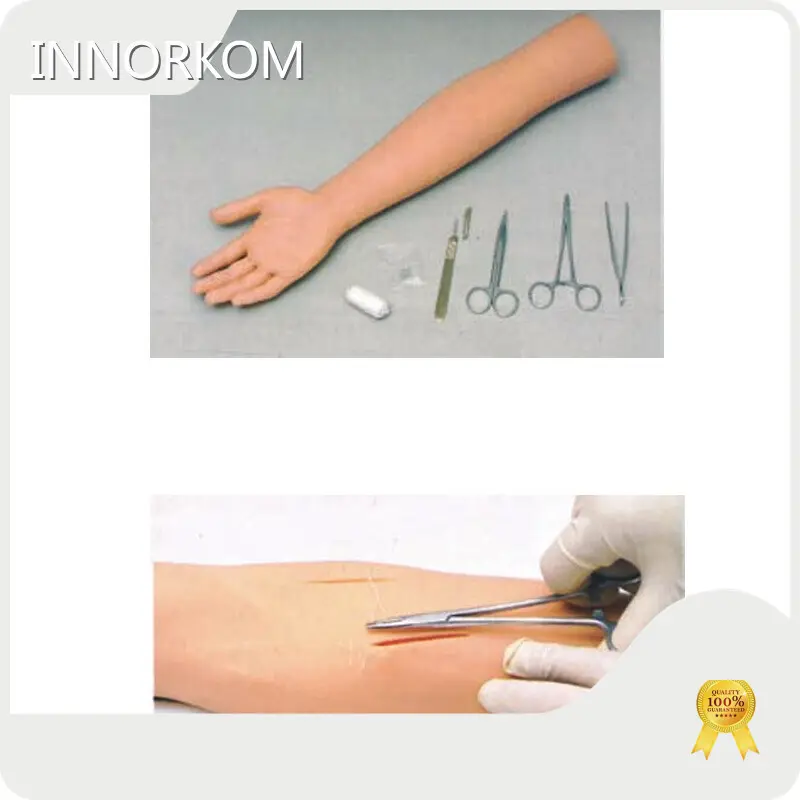 Custommedical Anatomy Models for Medical Grade INC-VM12 INNORKOM 1