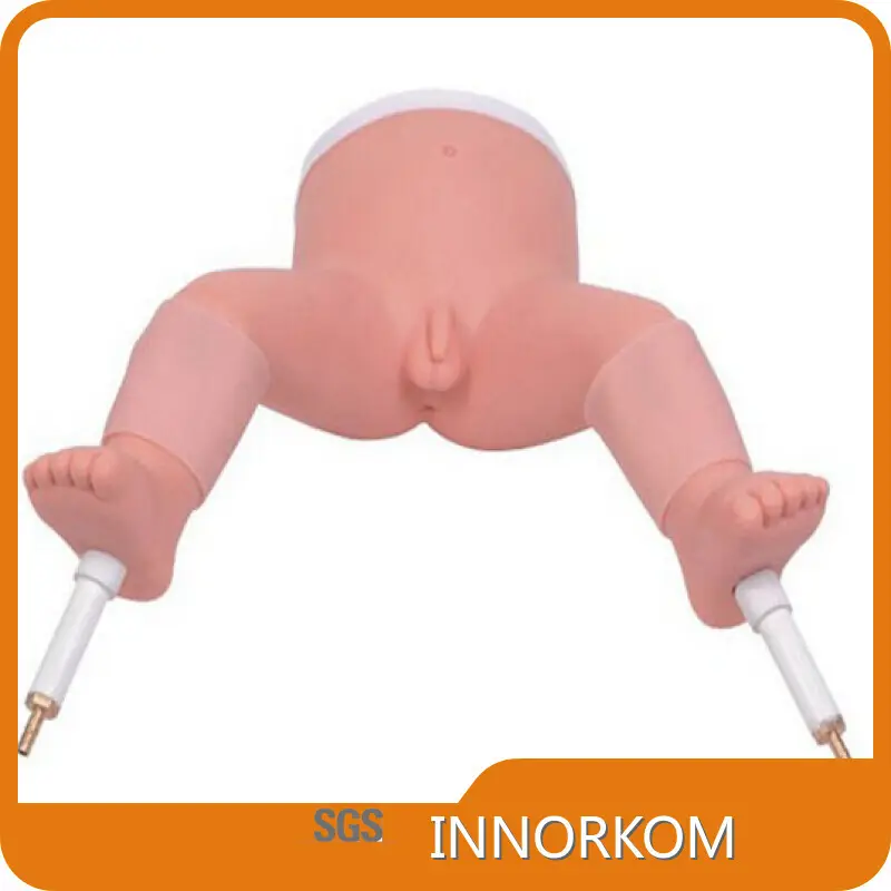 High Quality Medical Skeleton Model for Operating Room 1