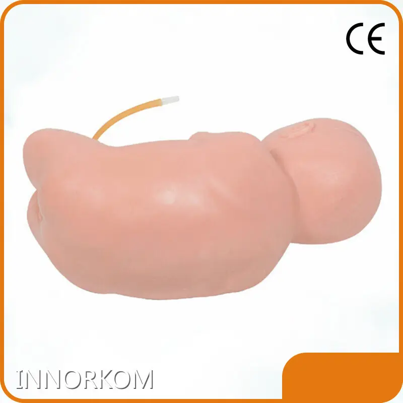 Medical Educational Models INNORKOM INC-VM09company 1