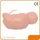 Medical Educational Models INNORKOM INC-VM09company 1
