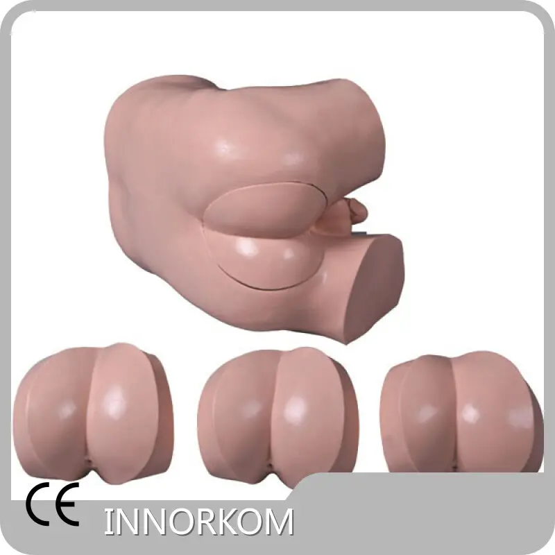 High Quality Skeleton Anatomy Model Supplier for Operating Room 1