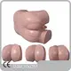 High Quality Skeleton Anatomy Model Supplier for Operating Room 1