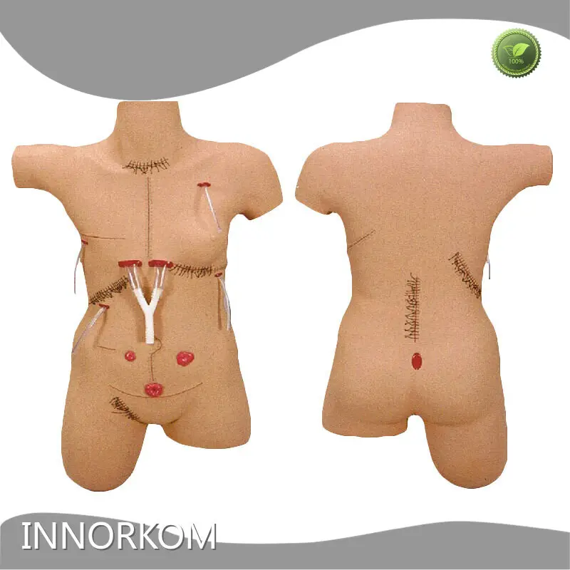Modelos de anatomia médica estéril e resistente à corrosão para sala de operações 1
