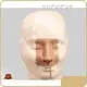 Medical Anatomy Models INNORKOM - for Medical Grade - INNORKOM 1