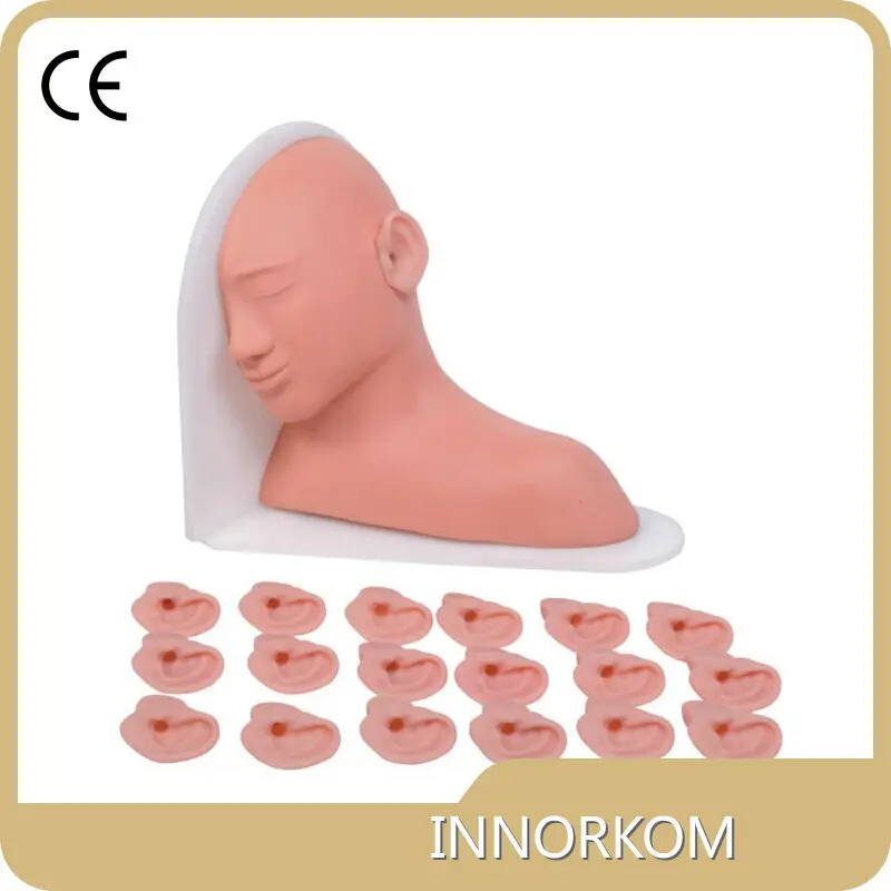 Sterile and Corrosion Resistant Medical Educational Models Price List 1