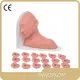 Sterile and Corrosion Resistant Medical Educational Models Price List 1