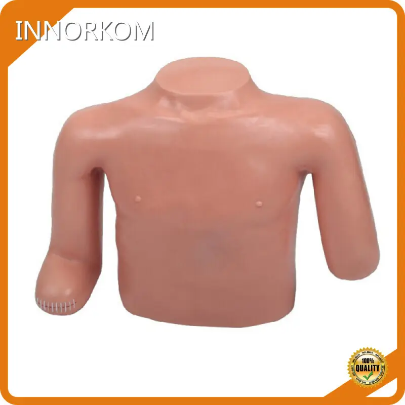 Medical Skull Model Company for Medical GradeINNORKOM 1