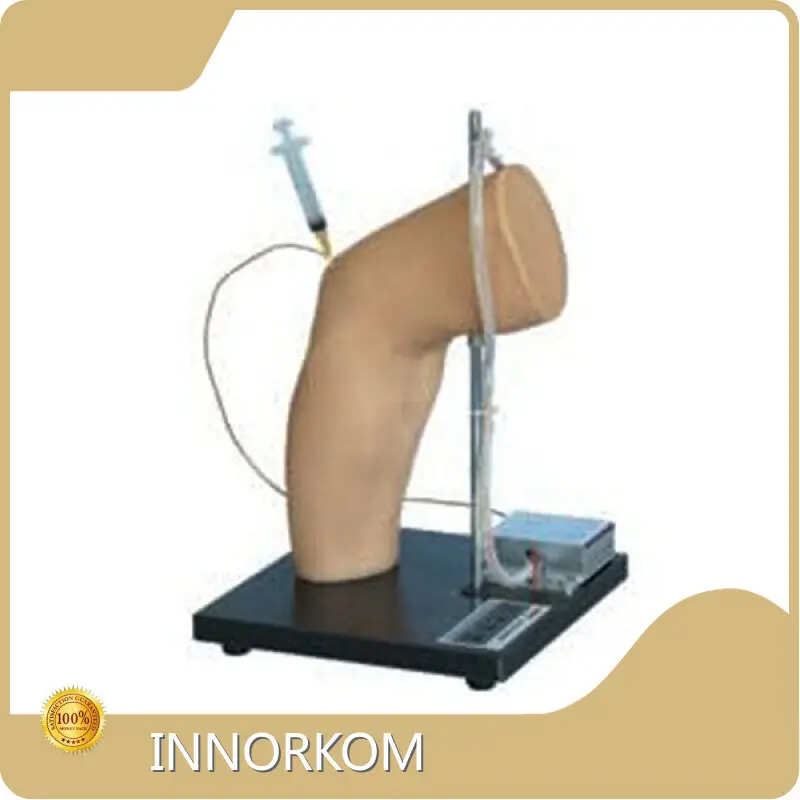 Durable Medical Anatomy Models Factory for Medical Grade 1