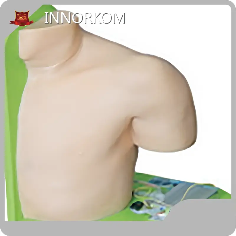 Medical Anatomy Models INC-IM100 INNORKOMmanufacturer 1