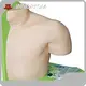 Medical Anatomy Models INC-IM100 INNORKOMmanufacturer 1