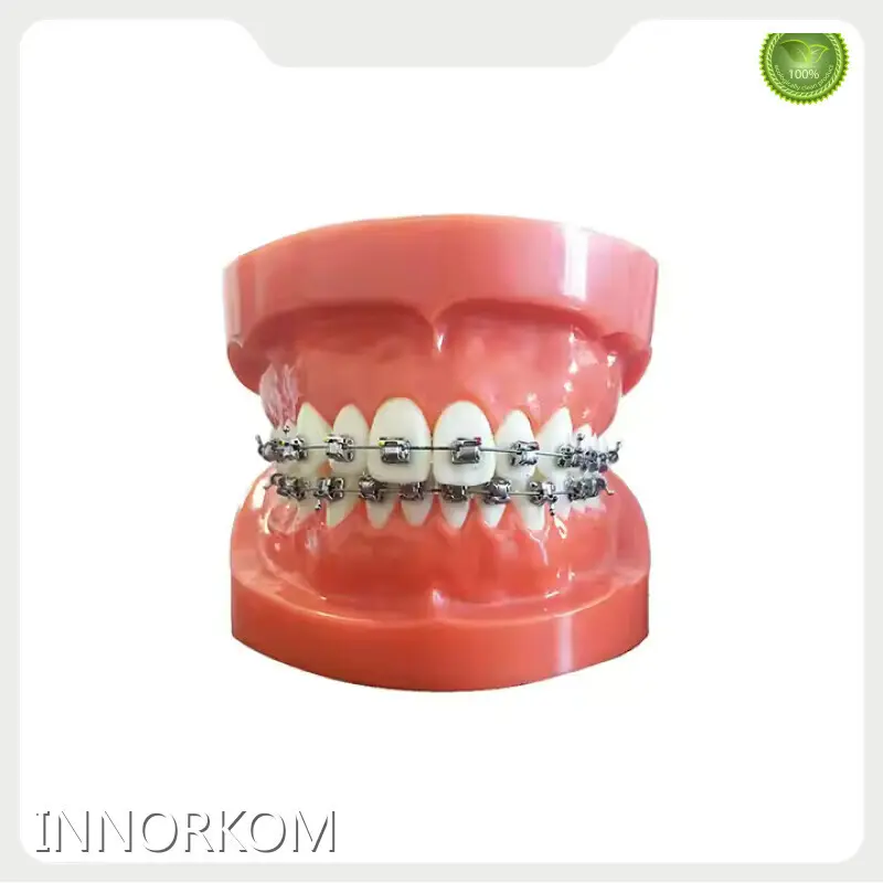 Medical Educational Models Factory for Operating RoomINC-06T 1