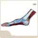 INNORKOM Anatomical Shoulder Model INC-02Fmanufacturer 1