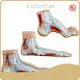 Wholesale Medical Anatomy Models Vendor for Operating Room 1
