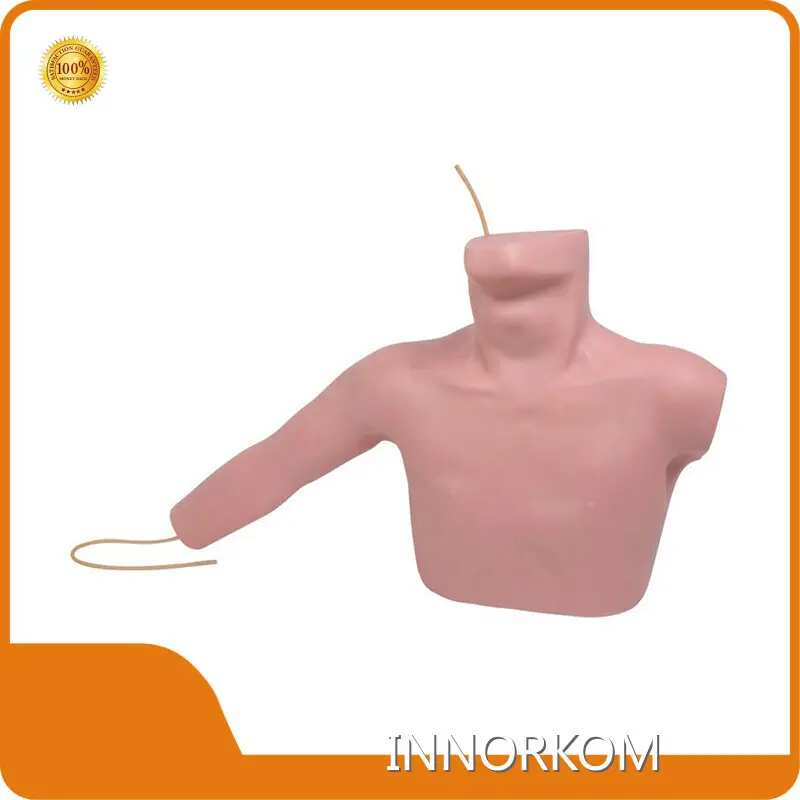Medical Skeleton Model Vendor for Medical GradeINNORKOM 1