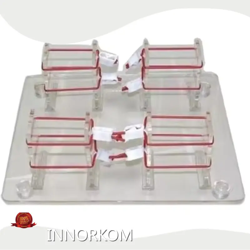 Medical Skull Model Manufacturer for Operating RoomINC-VL02 1