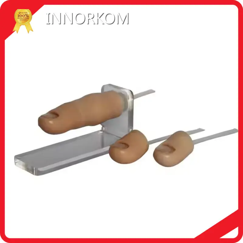 Medical Skull Model INC-ST11 Wholesale - INNORKOM 1