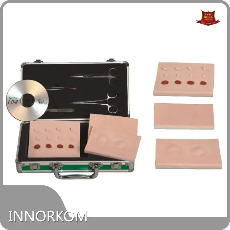 High Quality 3b Medical Models 3b Medical Models Company 1