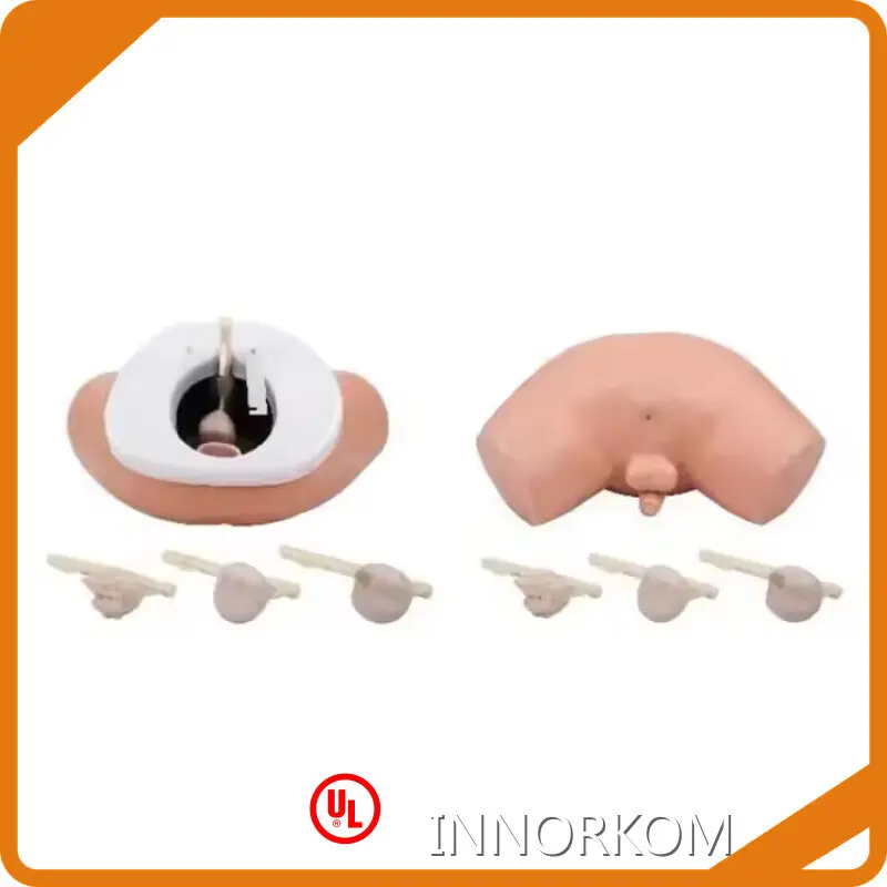 Vein Intubation Model Vendor for Operating RoomINNORKOM 1