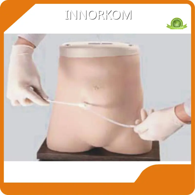 Intestinal Anastomosis Model Company for Operating RoomINC-PD03 1