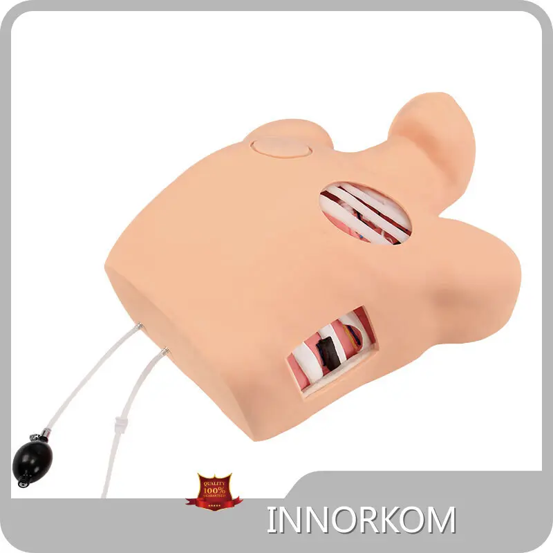 INNORKOM Central Venous Puncture Model INNORKOM Central Venous Puncture Modelmanufacturer 1