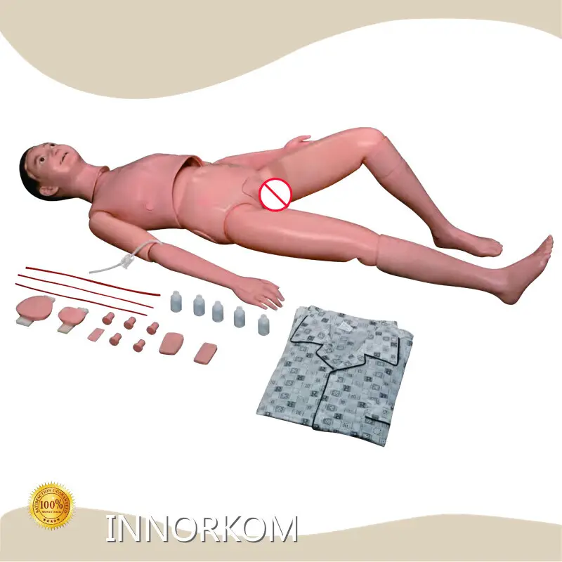 High Efficientmedical 3d Models Teaching Model 10kgs 1