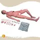 High Efficientmedical 3d Models Teaching Model 10kgs 1