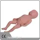 Medical Educational Models First-rate Servicewholesaler 1