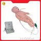 High Quality Full Body Cpr Mannequin Factory 1