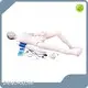 Wholesale Medical Teaching Mannequins Wholesaler 1