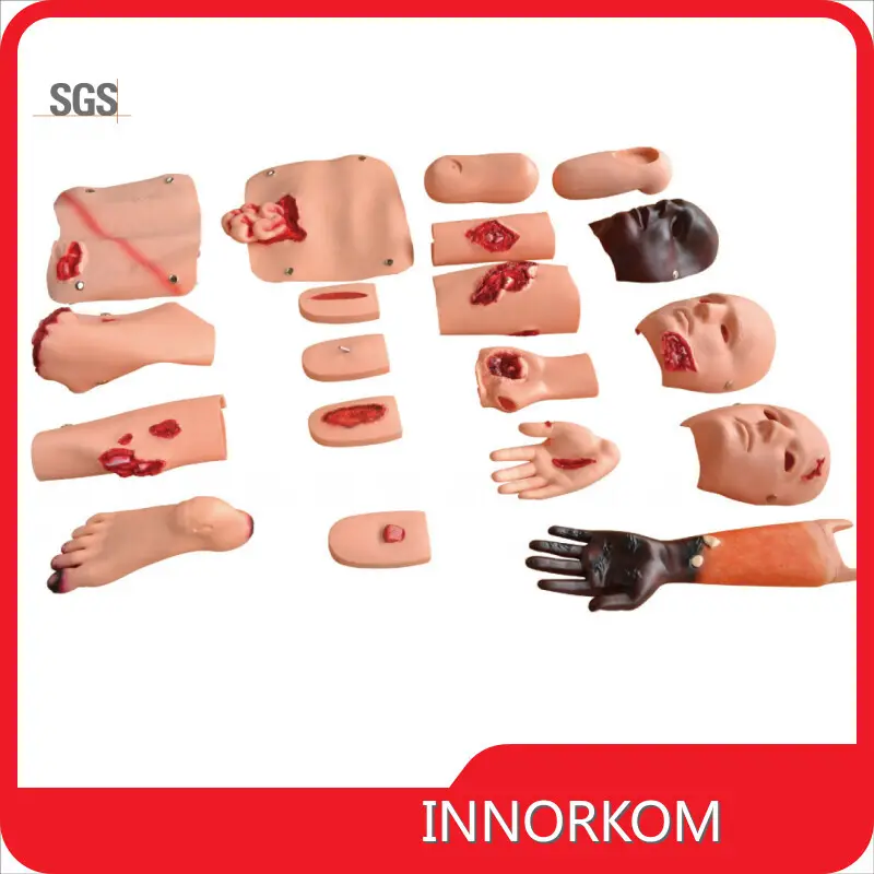 High Quality Medical Training Mannequin Medical Training Mannequin Company 1