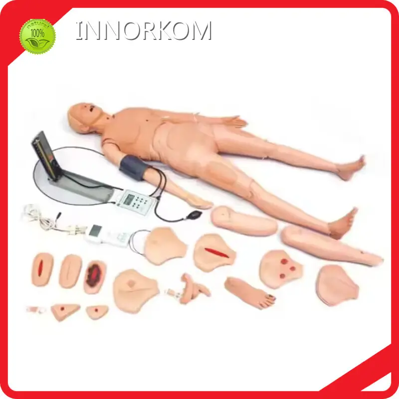 High Efficient Medical Mannequin for Sale Factory 1