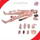 High Efficient Nursing Simulation Manikins Wholesaler 1