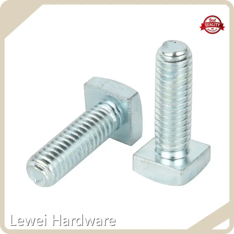 Bolts and Nuts Supplier M6-M48 - - Lewei Hardware 1