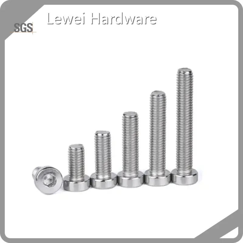 Top Screws Manufacturer 1