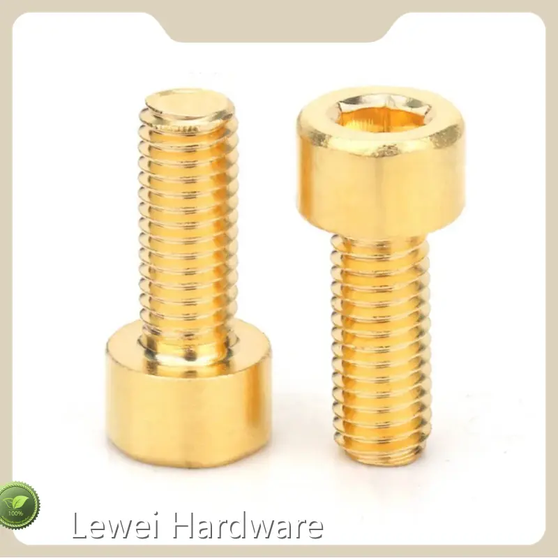 Lewei Hardware Hexagon Socket Head Screw Hexagonalsupply 1