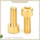 Lewei Hardware Hexagon Socket Head Screw Hexagonalsupply 1