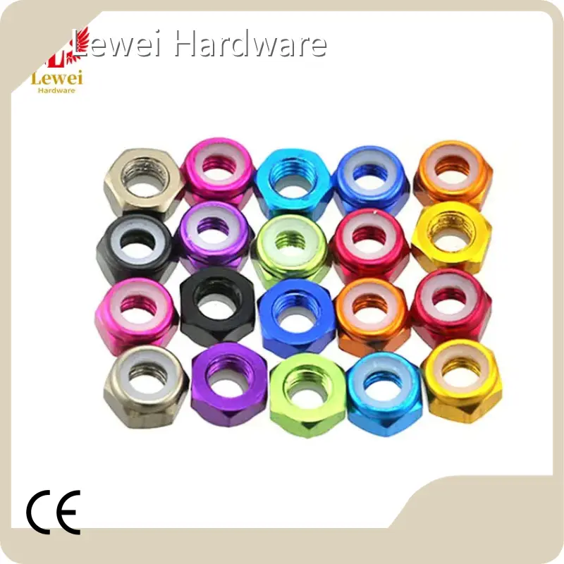 Nuts Manufacturer Customized by Lewei Hardware 1