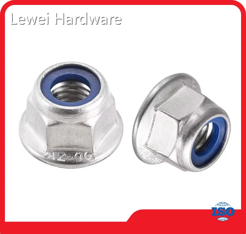 Metric Flange Nuts China by Lewei Hardware 1
