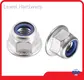 Metric Flange Nuts China by Lewei Hardware 1