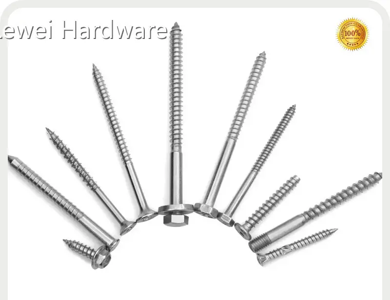 Custom Bolt Manufacturer Chinasupply 1