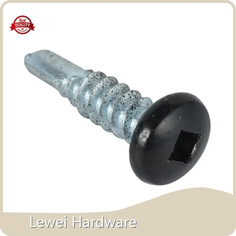 Lewei Hardware Custom Screw Zinc Platingsupply 1