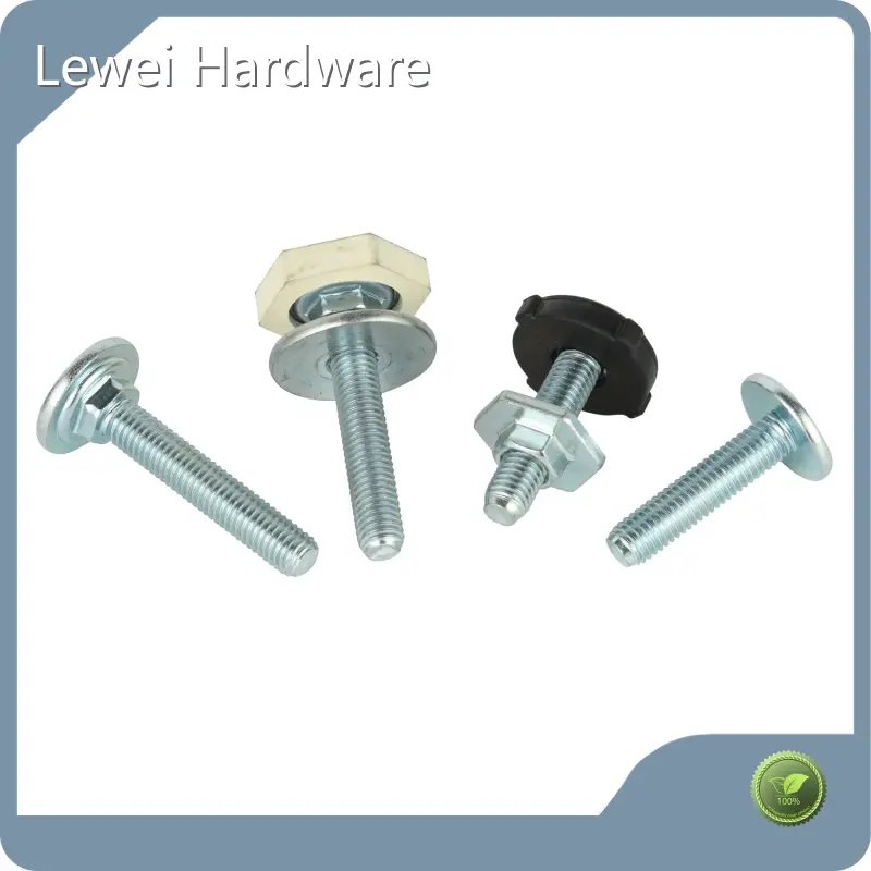 Lewei Hardware Standard Fasteners Chinamanufacturers 1