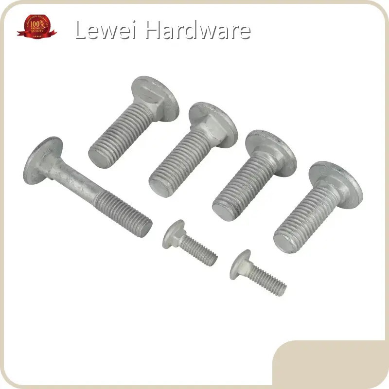 Custom Bolt Manufacturer Chinasupply-1 1