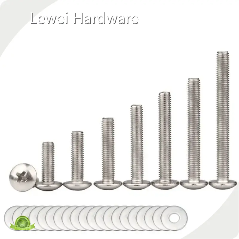 Stainless Pan Head Screws 23.000kg by Lewei Hardware 1