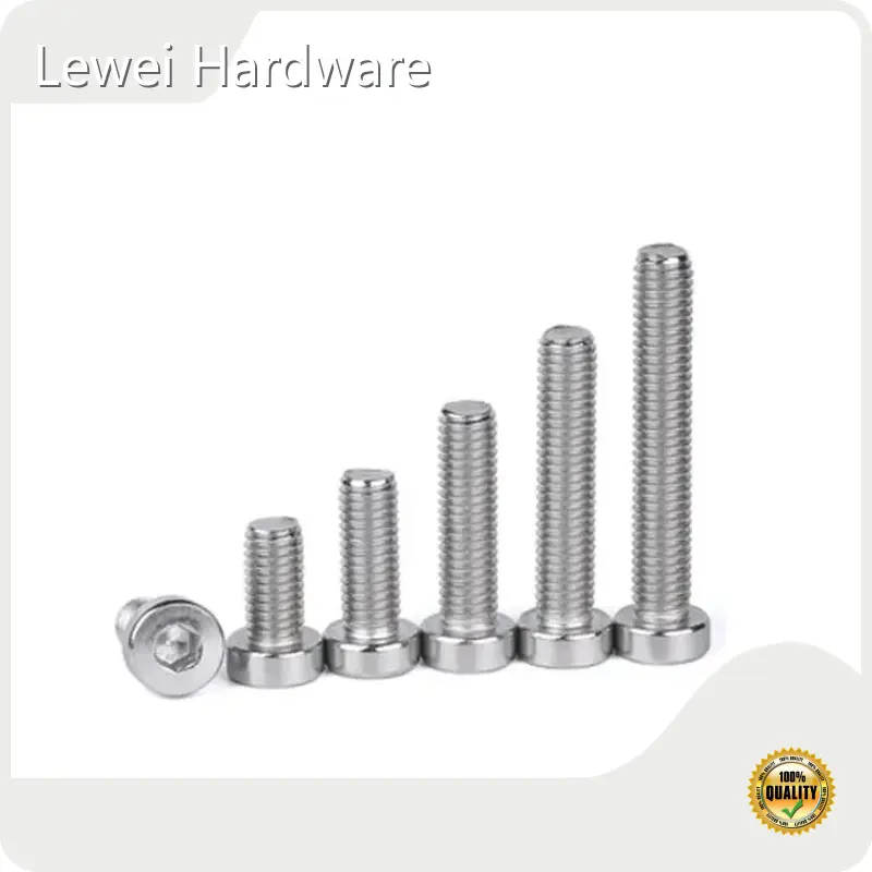 Custom Screw Manufacturer Chinacompany 1