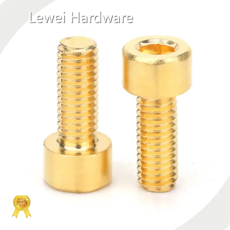 Lewei Hardware Precision Machining Parts Factory M3-M100supply 1