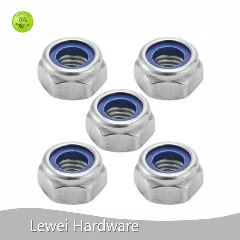 Custom Fastener Manufacturer Customized - - Lewei Hardware 1