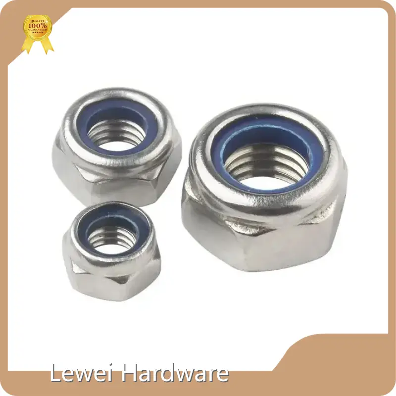 Nylon Insert Nuts Manufacturers Small Bag Packaging 1